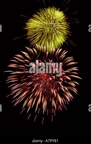 Colorful firework display in the dark night sky. Stock Photo