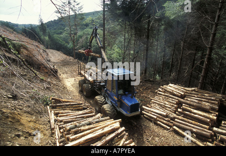 Loading logs on to forwarder in Bovey Valley Woods Dartmoor National Park Stock Photo