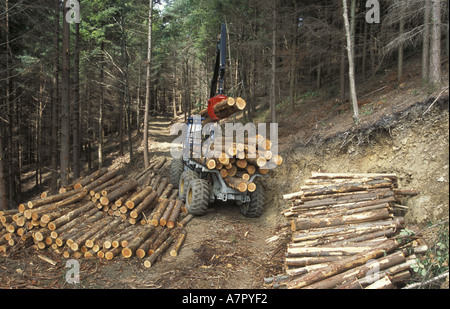 Loading logs on to forwarder in Bovey Valley Woods Dartmoor National Park Stock Photo