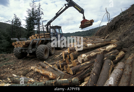 Loading logs on to forwarder in Bovey Valley Woods Dartmoor National Park Stock Photo