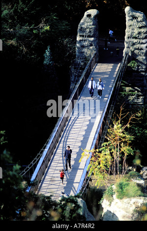 France, Paris, walking on the suspension bridge of the Buttes Chaumont park Stock Photo