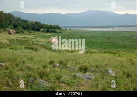 A view across the lush green grass on the shores of Lake Manyara to the edge of the Rift valley beyond Lake Manyara Tanzania Stock Photo