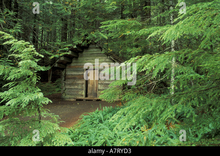 N.A., USA, Washington, Mt. Rainier National Park, Old Longmire Cabin along the trail of the Shadows at Longmire Stock Photo