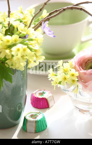 Close-up of cowslip flowers in vase Stock Photo