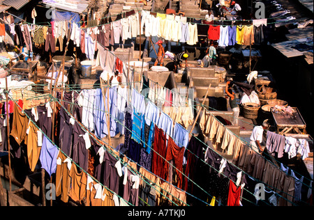 India, Maharashtra State, Bombay (Mumbai), Mahalaxmi Dhobi Ghat municipal laundry Stock Photo