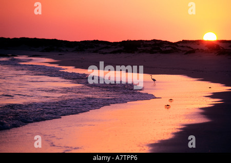 Yemen, Indian Ocean coast, Bir Ali beach Stock Photo