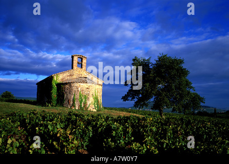 France, Rhone, Beaujolais region, chapel Saint Pierre at Charentay Stock Photo