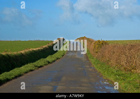 the road to nowhere,an empty and deserted country lane in cornwall,england Stock Photo