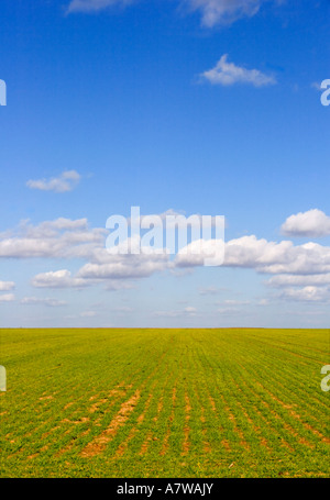 Flat Lincolnshire farm land stretching to the horizon Stock Photo