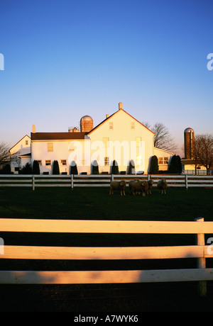 United States, Pennsylvania, Lancaster, Amish small village Stock Photo