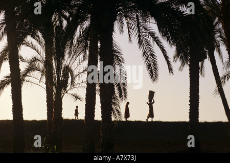 Egypt, Valley of the Kings, Children carrying produce from the fields along a palm lined irrigation canal Stock Photo