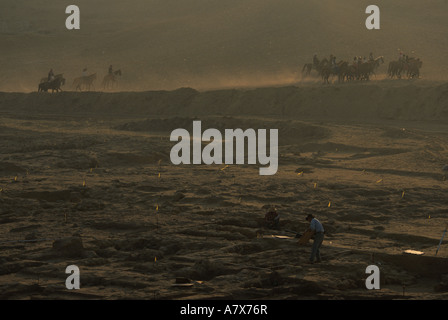 Africa, Egypt, Giza plateau. Dr. Mark Lehner in royal production center ...