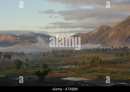 Terraced rice paddies in front of Granite outcrop near Andringitra National Park. South-central highlands of MADAGASCAR. Stock Photo