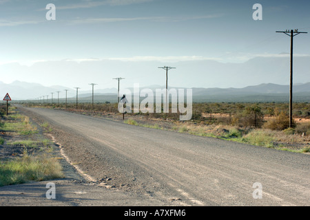 A gravel road off the R62 near Oudtshoorn in the Karoo region of South Africa's Western Cape Province. Stock Photo