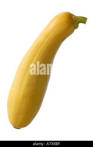 Yellow Zucchini Squash Stock Photo