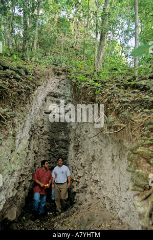 William Saturno and research team inspect looter's trench at San Bartolo excavation of Maya Mural depicting Corn god myth Stock Photo