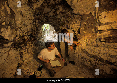 William Saturno, at San Bartolo excavation of Maya Mural depicting Corn god myth dating prior to 100 AD, found in Maya pyramid Stock Photo