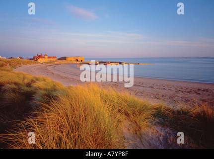 Beadnell Bay and harbour at sunset Northumberland Stock Photo