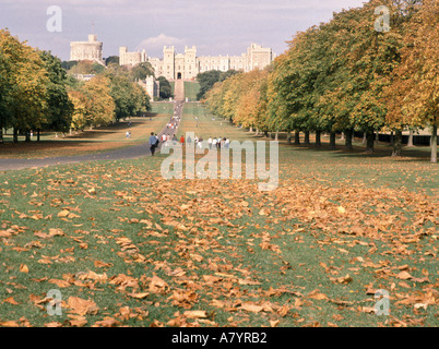 People walking in the Royal Park Long Walk amongst autumn trees & autumnal tree leaves in Windsor Great Park with Castle beyond Berkshire England UK Stock Photo