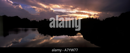Moody silhouette of African bush and trees after sunset just before darkness falls over the edge of the rainforest and lake, Ghana, West Africa Stock Photo