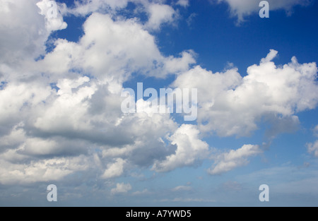 Blue sky with cumulus clouds Stock Photo