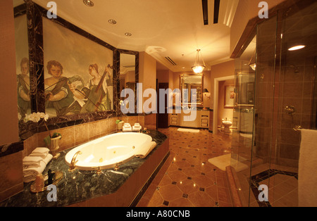 Las Vegas, Nevada, USA - Bathroom in the MGM Signature hotel room Stock  Photo - Alamy