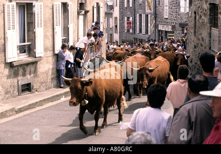 France, Cantal, Allanche, Estive celebration,  beginning of the transhumance Stock Photo