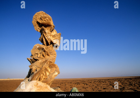 Tunisia, desert rose in Chott-el-Djerid desert Stock Photo