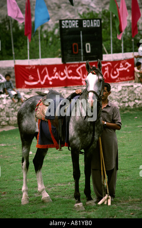 Pakistan Azad Kashmir Gilgit sport polo pony and scoreboard before game Stock Photo