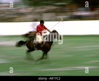 Pakistan Azad Kashmir Gilgit sport blurred galloping polo pony during game Stock Photo