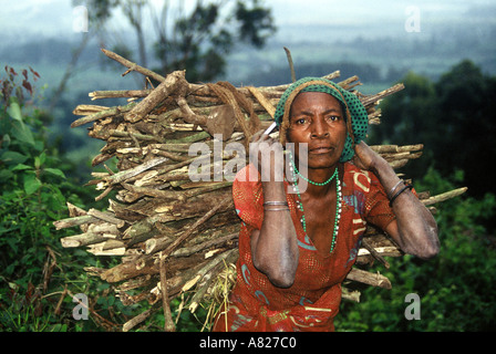 Pygmy tribe, Democratic Republic of Congo (Zaire Stock Photo: 771444 ...