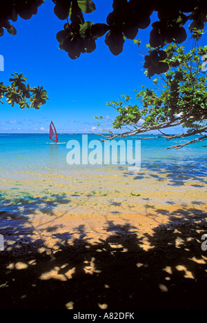 Windsurfing the blue Pacific waters at Anini Beach North Shore Island of Kauai Hawaii Stock Photo