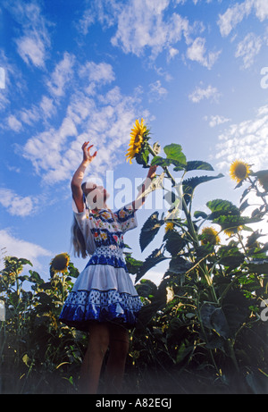 Girl reaching up for sunflower under blue skies in Provence Stock Photo