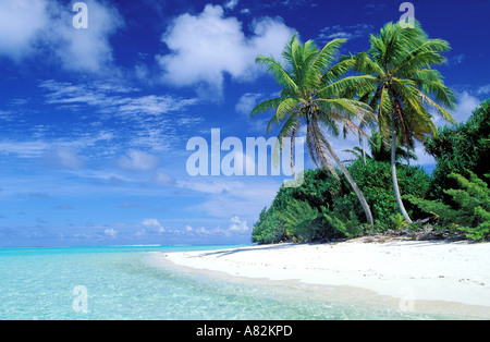 France, French Polynesia, Tetiaroa island, Marlon Brando's island (the Society archipelago) Stock Photo
