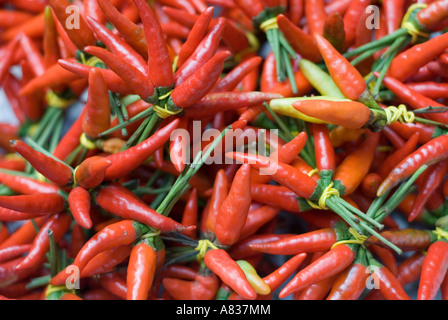 Red hot  Thai Peppers Stock Photo