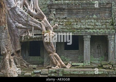 CAMBODIA Siem Reap Prasat Preah Khan 1191 AD tree roots showing jungle is still in control of temple Stock Photo