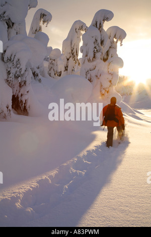Snowshoeing in Turnagain Pass Chugach National Forest Alaska Model Released Stock Photo