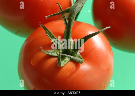 Tomatoes on the vine Stock Photo