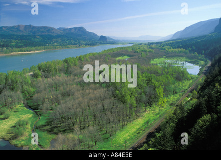 Wetlands along Columbia River Oneonta Canyon trail Columbia River Gorge Portland Oregon Stock Photo