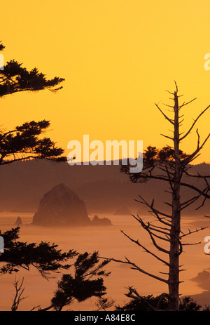 Silhouette Of A Sea Stack At Dawn, Cannon Beach, Oregon, Usa Stock 