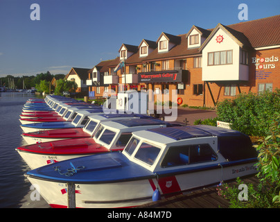 Hire boats in marina at Wroxham Norfolk Broads England UK Stock Photo