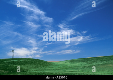 Whindmill in wheat fields below blue sky with clouds Palouse area Washington Stock Photo