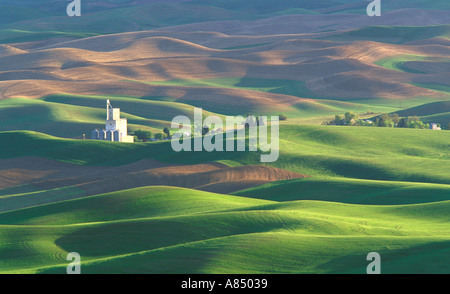 Whitman Grainery and rolling hills of wheat fields Steptoe Butte State Park Palouse area Washington Stock Photo