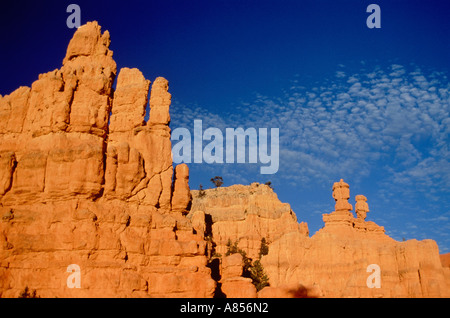 United States of America. Utah. Zion National Park eroded rock formations. Stock Photo