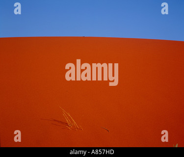 RED SAND DUNES OF THE HARSH SIMPSON DESERT, CENTRAL AUSTRALIA Stock ...