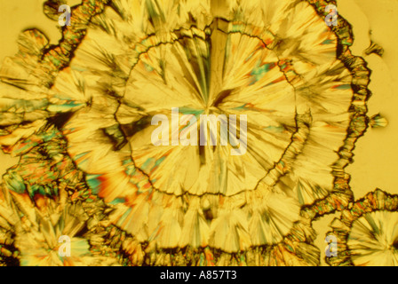 Vitamin C crystal photographed in polarised light. Stock Photo