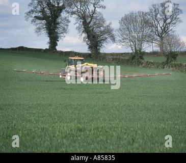 Renault tractor with boom spreader applying fertiliser to young wheat crop in spring Stock Photo