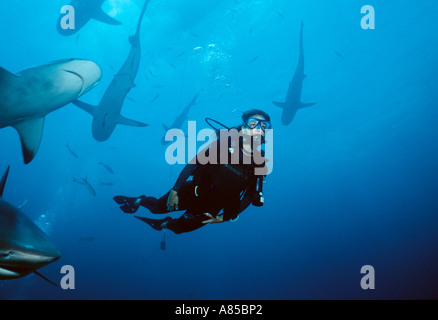 Woman diving with sharks in open water Stock Photo