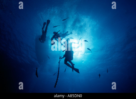 Divers hanging on ascent line doing safety stop Stock Photo