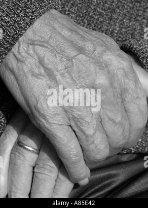 Hands of old man Stock Photo